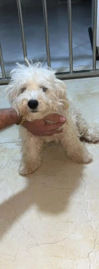Oujda Tri9 Jrada