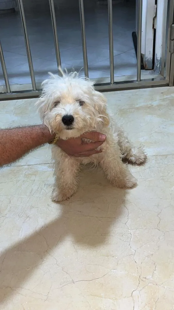 Oujda Tri9 Jrada