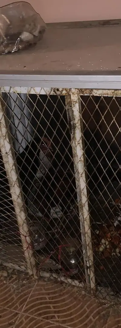 Cage avec sa porte