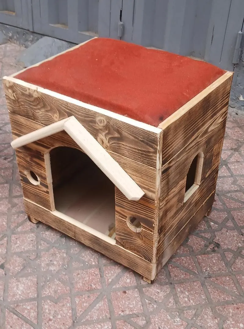 Niche pour chat