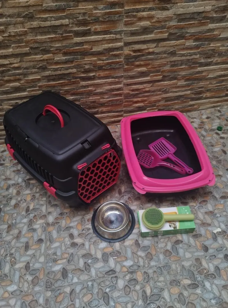 Pack pour chat