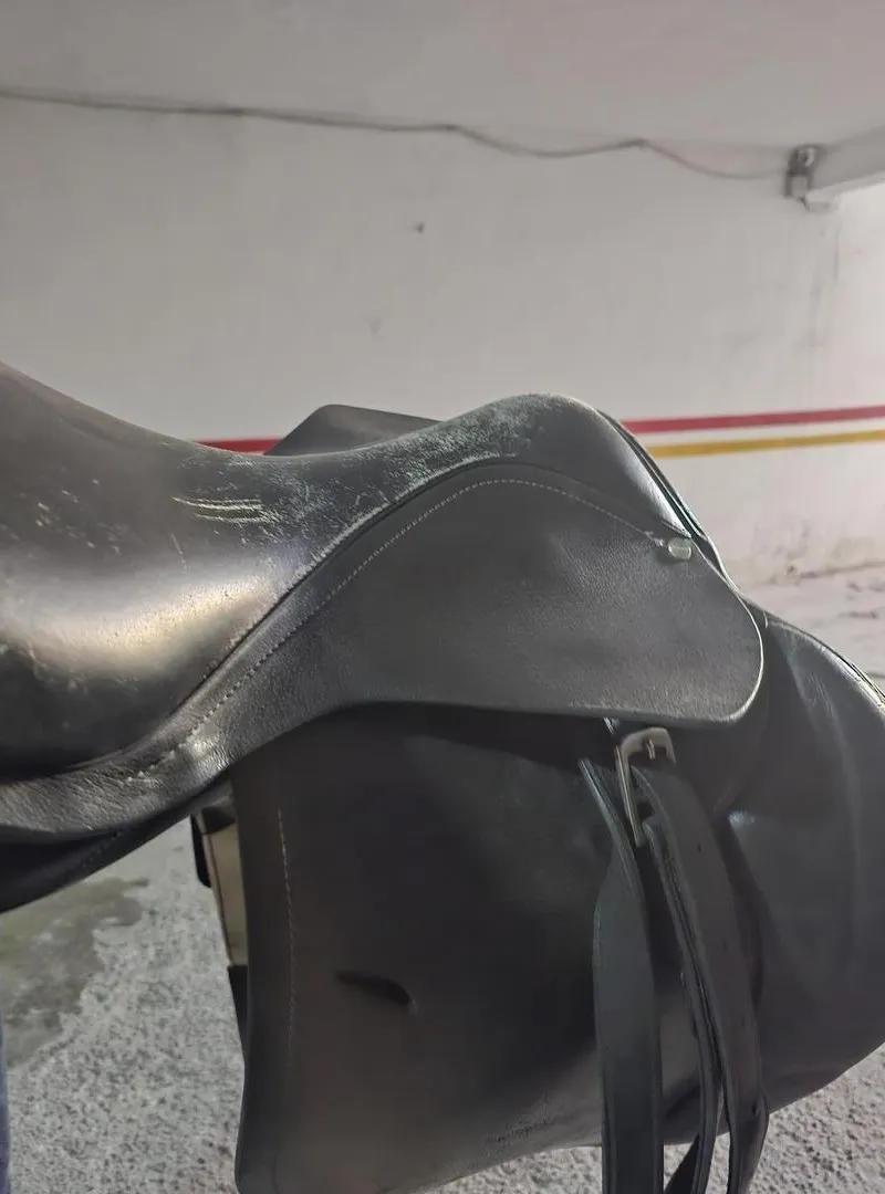 Selle mixte-obstacle (CSO)