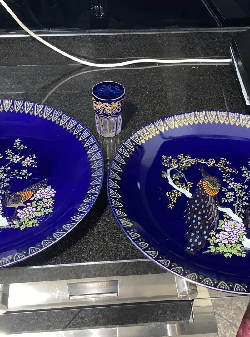 2 vases en paon libre excellent