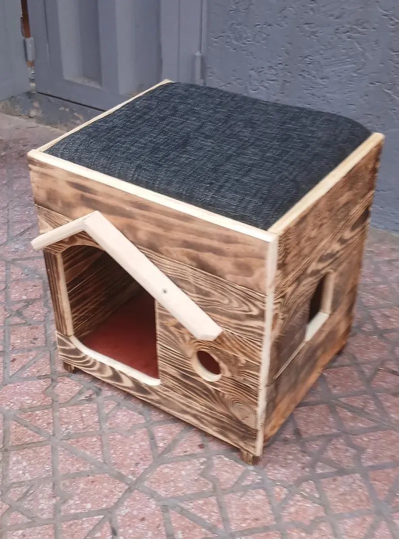 Maison pour chat
