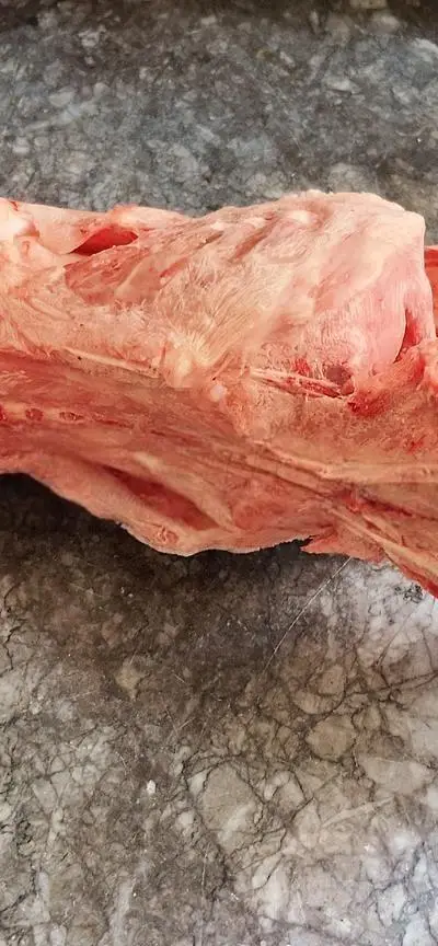 Alimentation Naturelle (Raw Food / BARF) 🐾