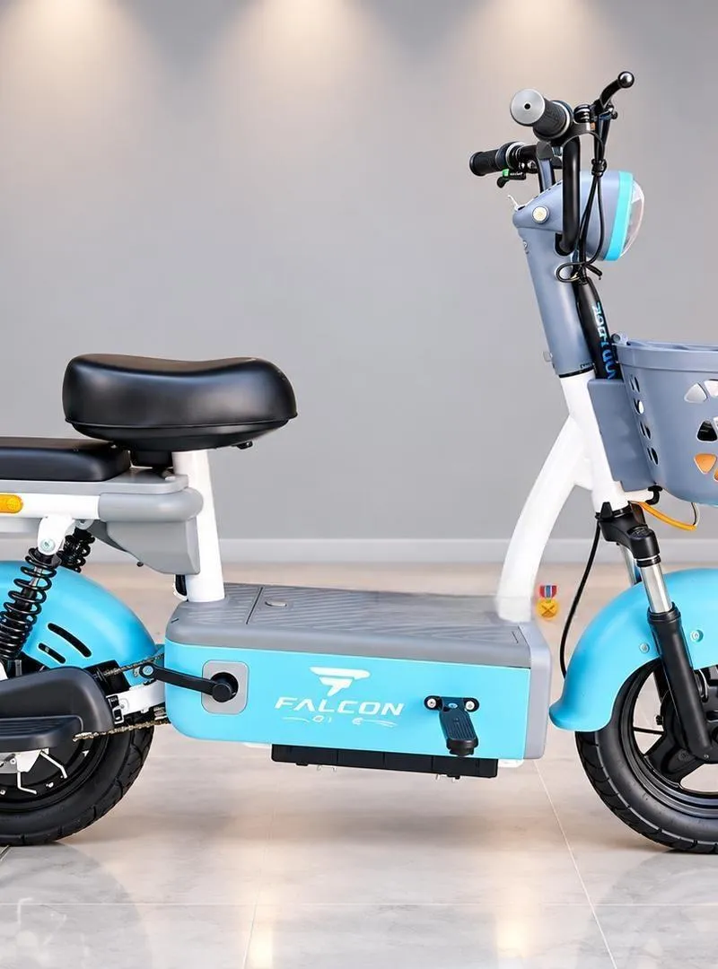Cyclomoteur électrique FALCON Ride