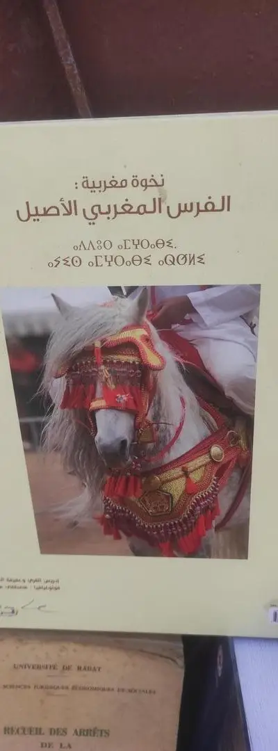 Livre sur le cheval marocain