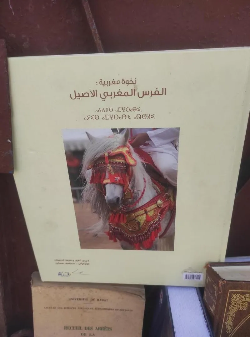 Livre sur le cheval marocain