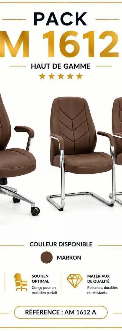 Chaise de Bureau Ergonomique Confort & Élégance SN
