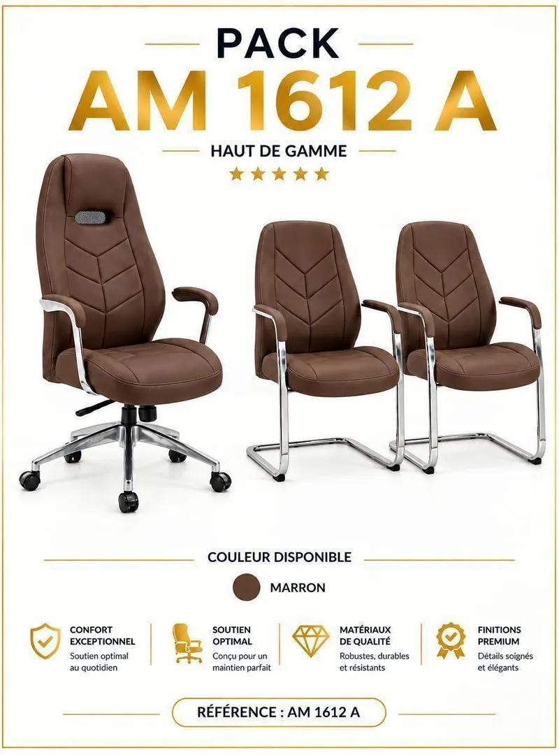 Chaise de Bureau Ergonomique Confort & Élégance SN