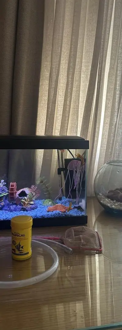 2 Aquariums à vendre