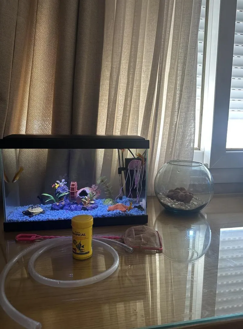 2 Aquariums à vendre