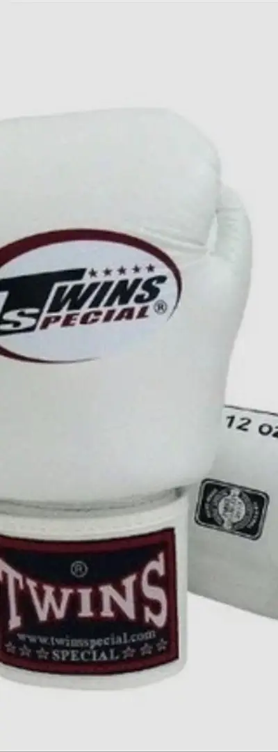 twins special original