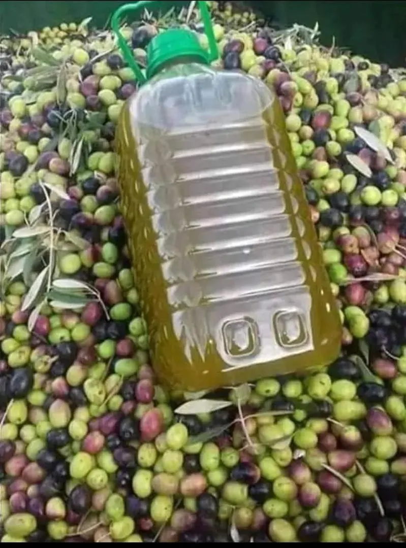 Huile d'olive Jbel Zellag Lamta