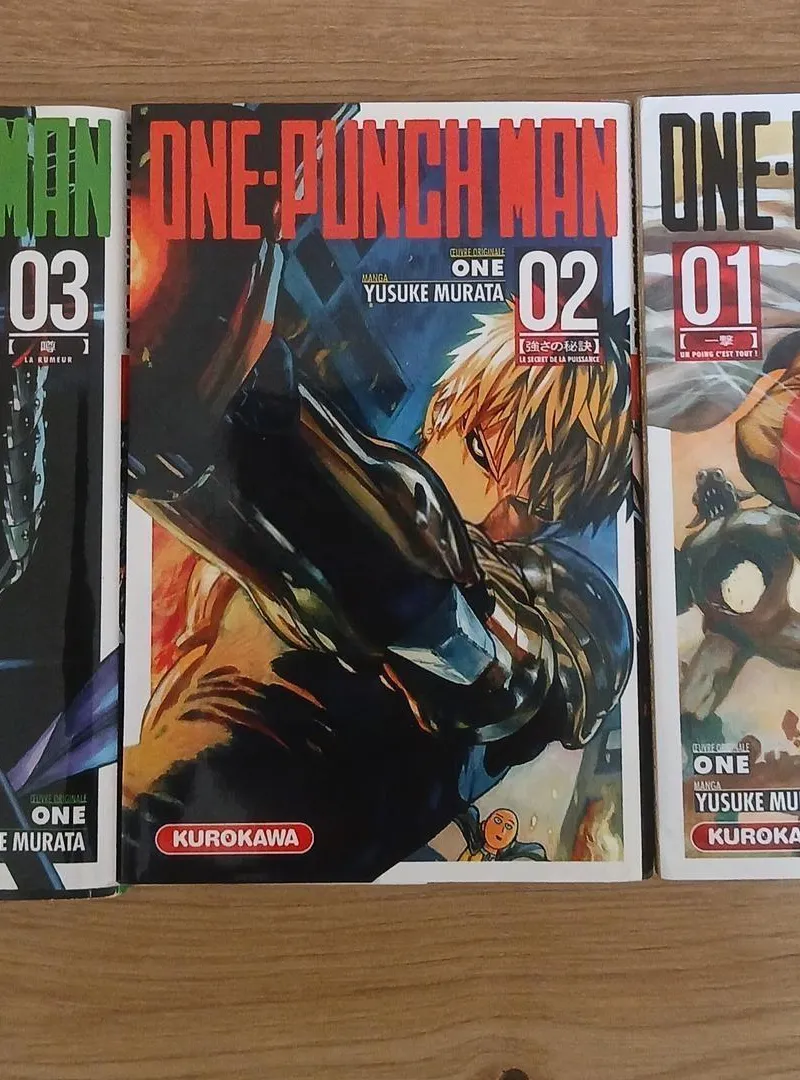 Manga One Punch Man