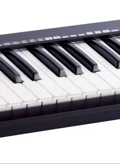 Roland A500s