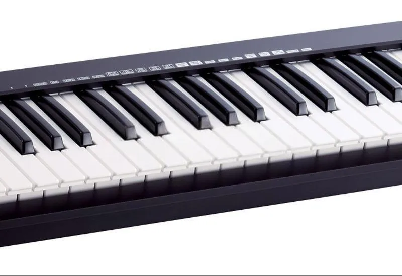 Roland A500s