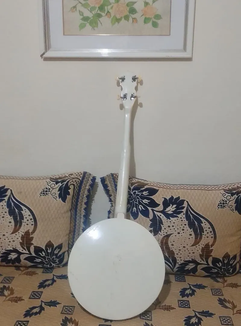 Banjo 5 cordes