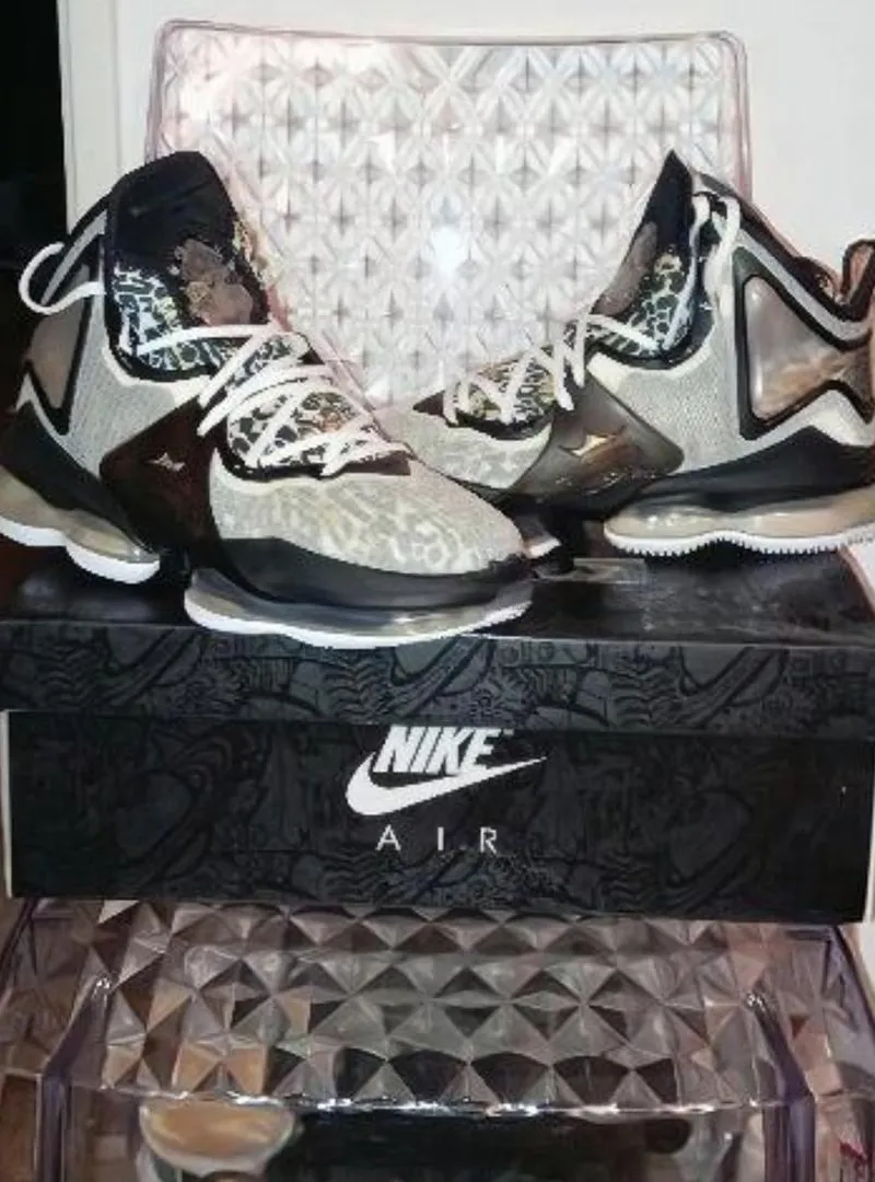 Nike air LeBron James Royalty 19 NEUF JDIDA
