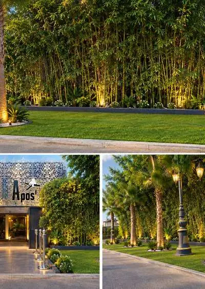 🌿 Création & Entretien de Jardins – Rabat & Régio