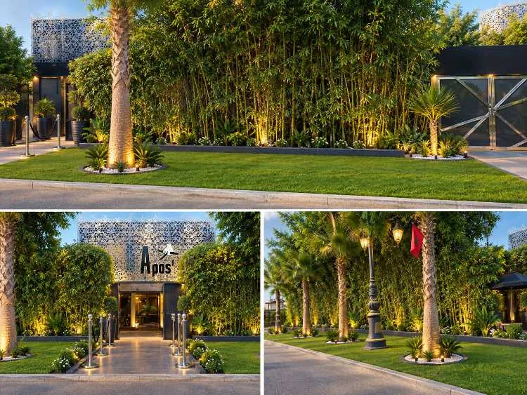 🌿 Création & Entretien de Jardins – Rabat & Régio