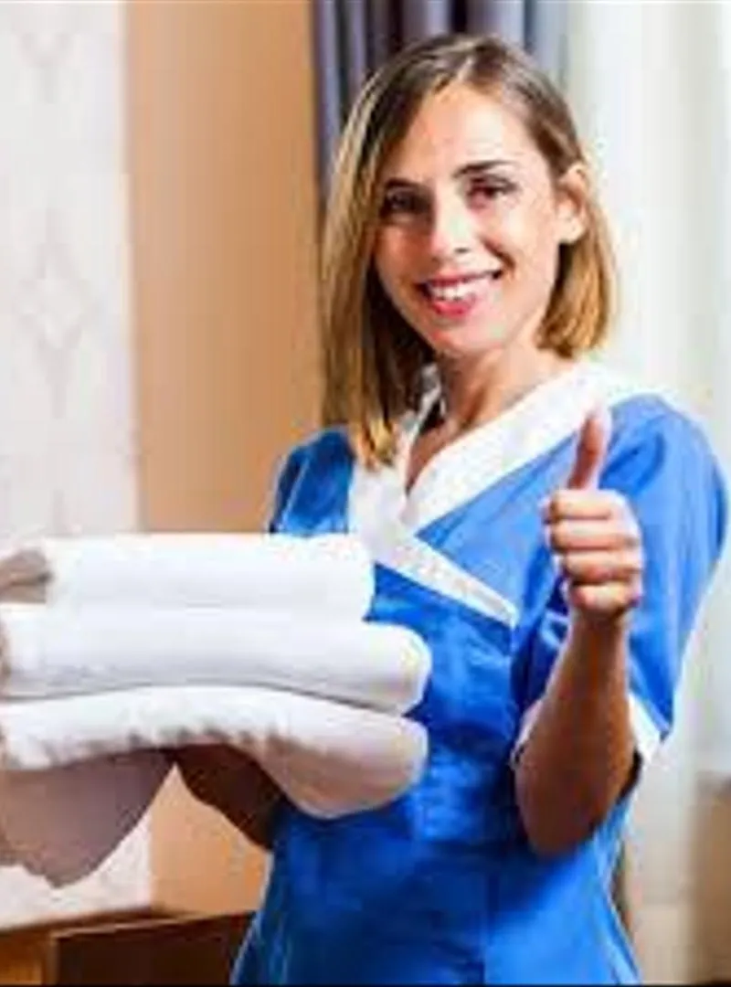 Femme de ménage cuisinière nounou