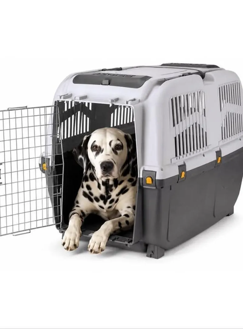 Caisse de transport pour chien
