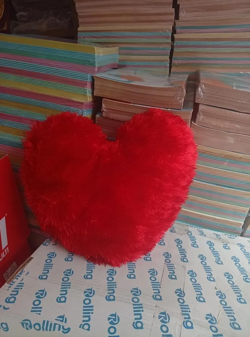 Coussin Sublimation