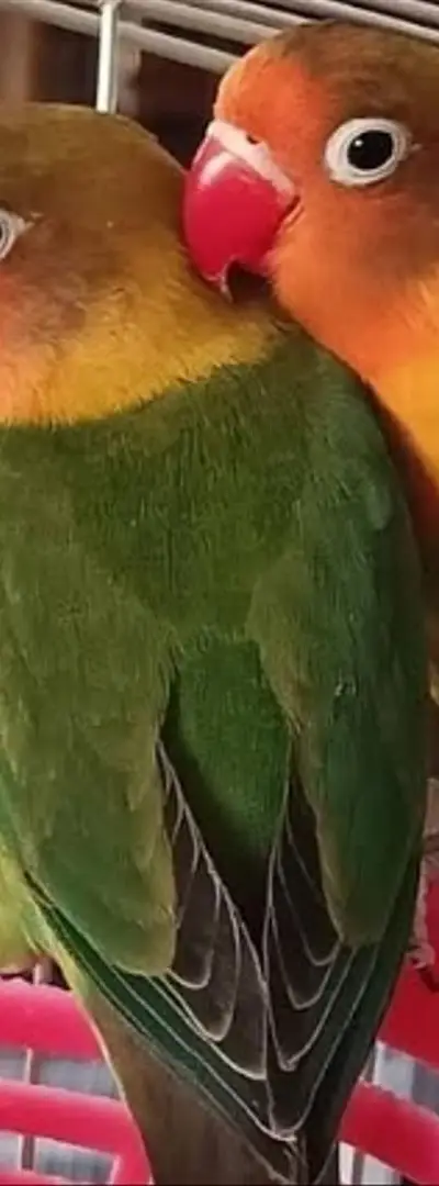 Bienvenue à tous