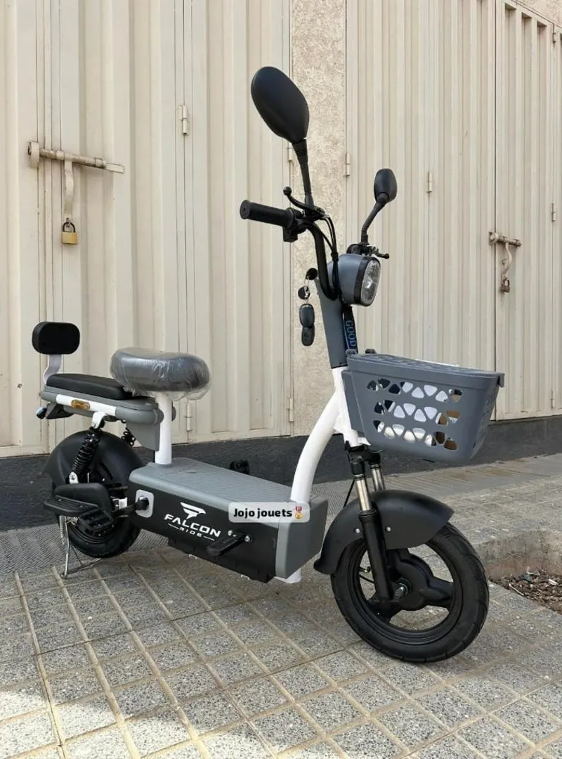 Scooter électrique batterie lithium 48v 15,4 ah ✔