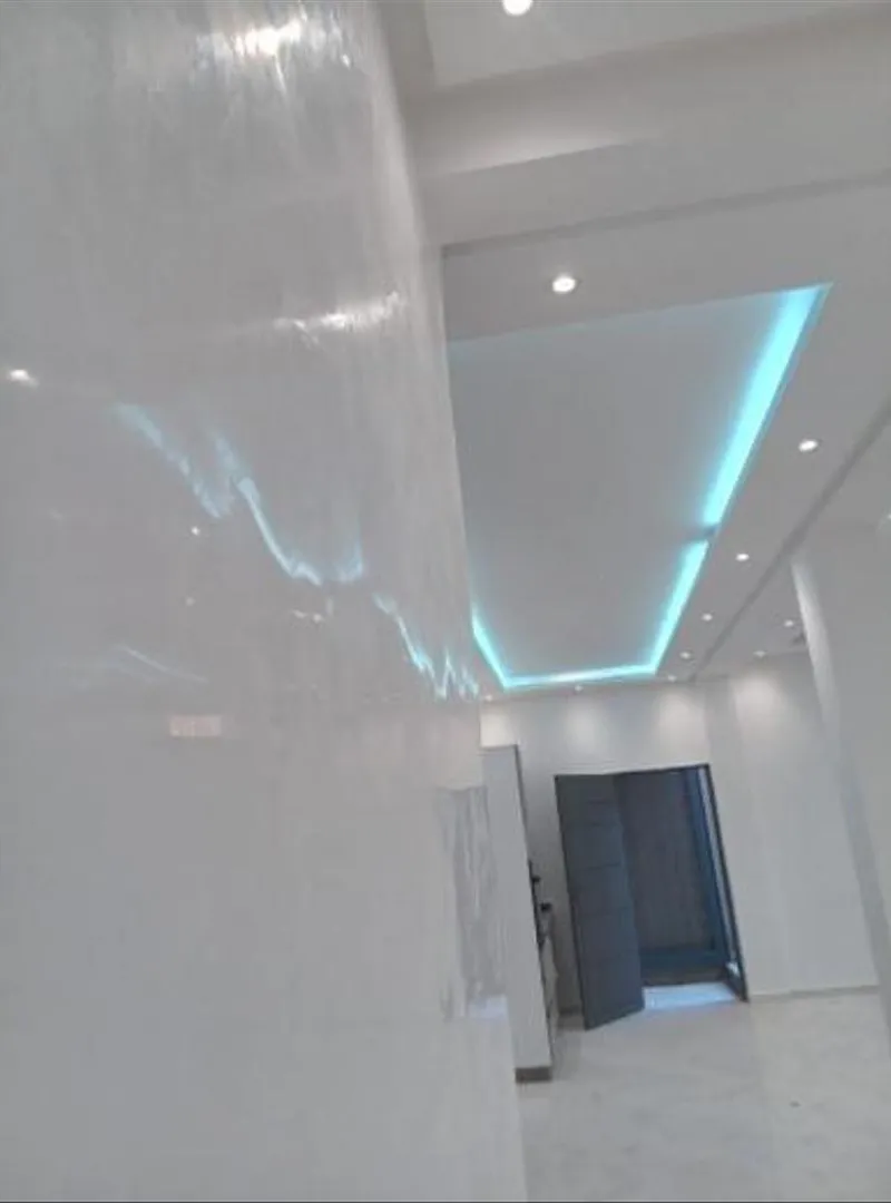Peintre professionnel