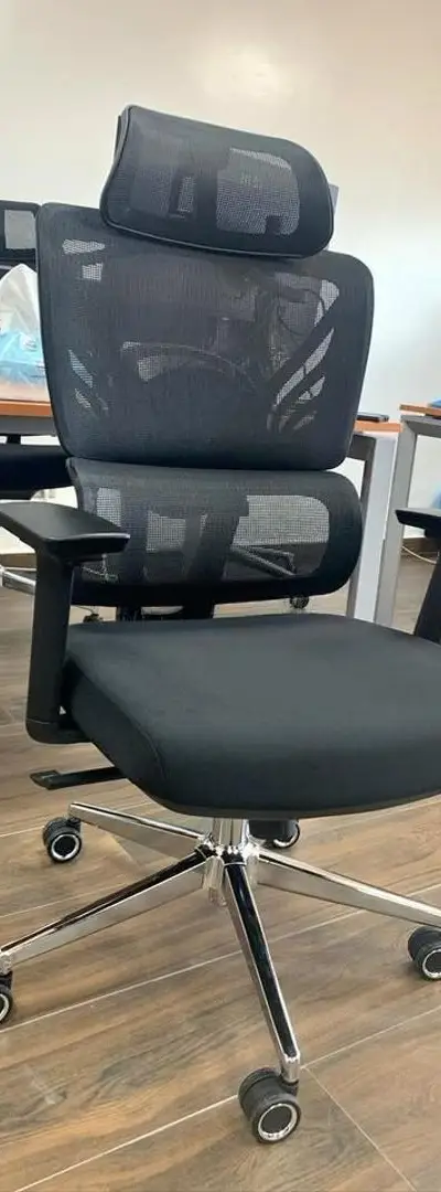 Chaise Présidentielle Professionnelle