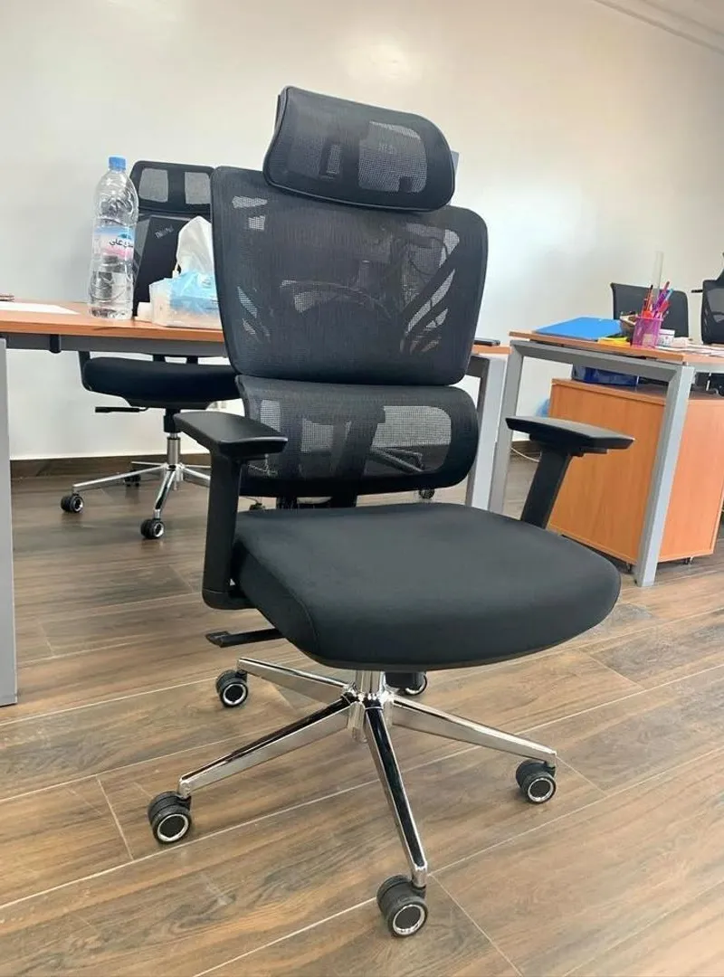 Chaise Présidentielle Professionnelle