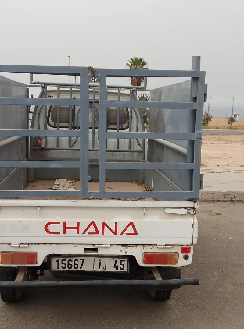 Chana à vendre