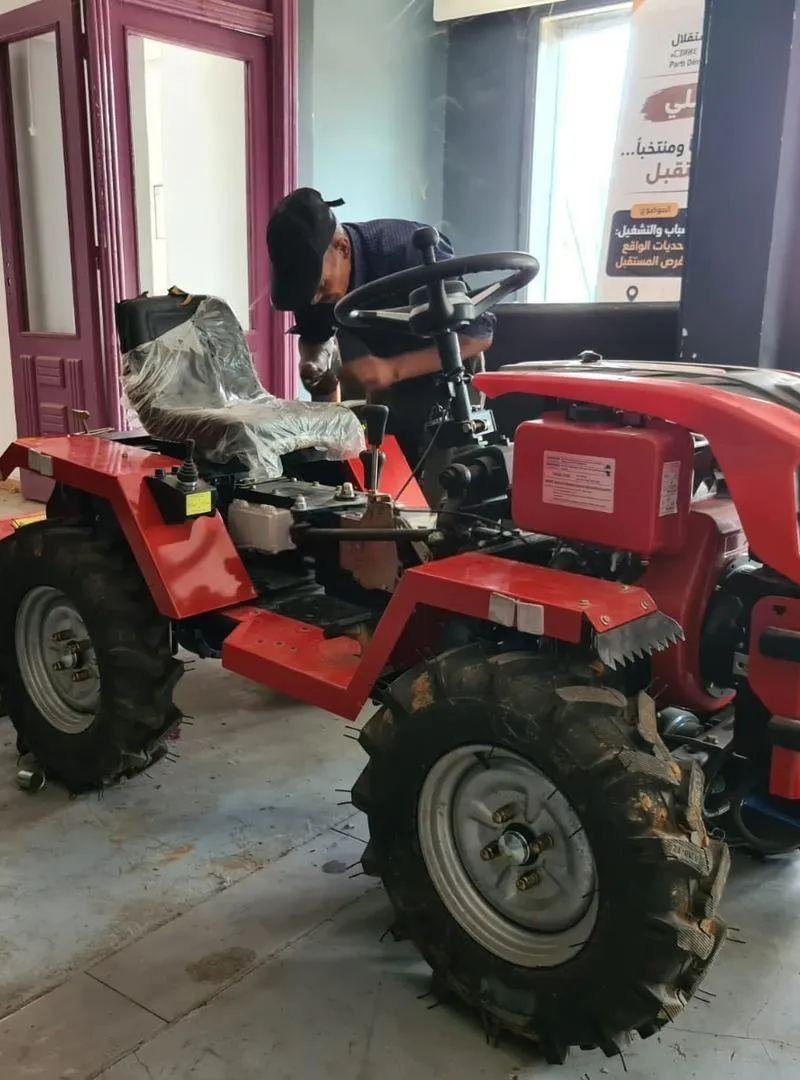 Mini tracteur occasion