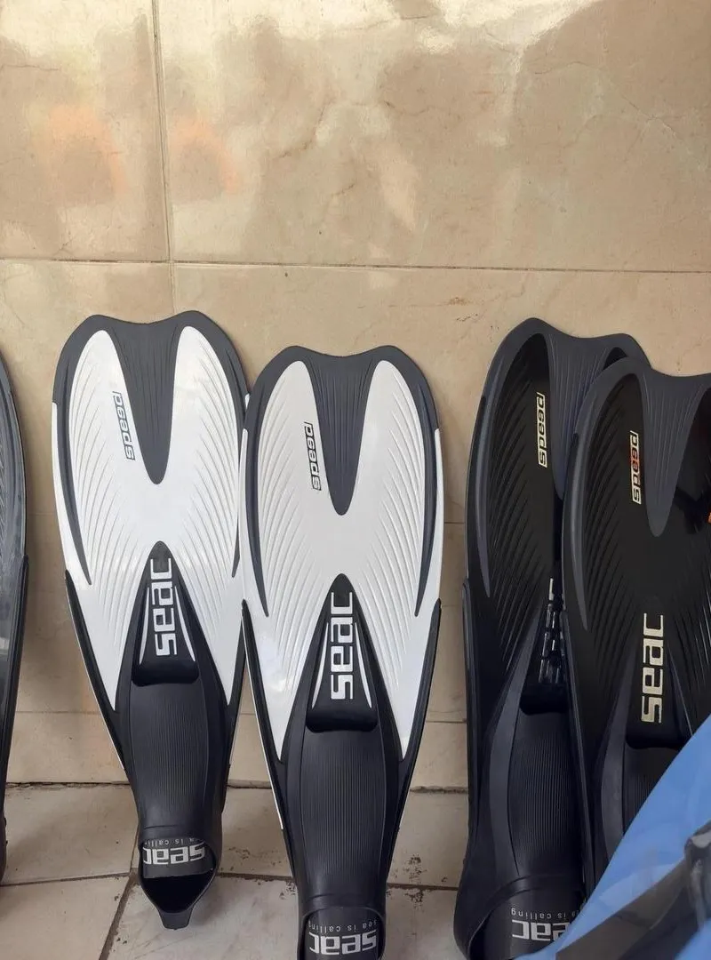 Palmes de natation Speedo Seac