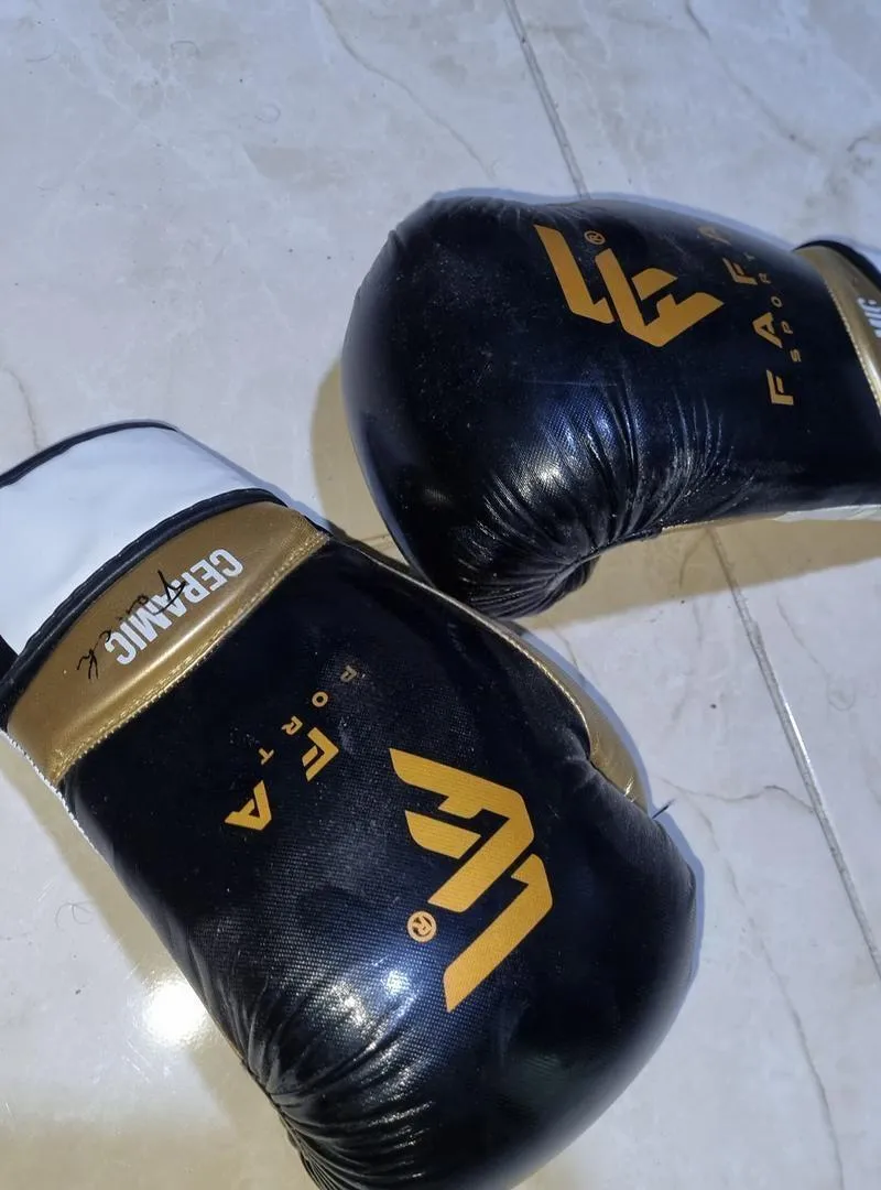 Ligue Boxe 🥊🥊