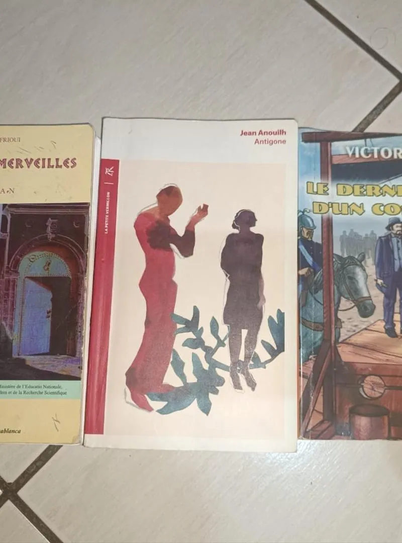 Romans 1ère année bac, encore neufs