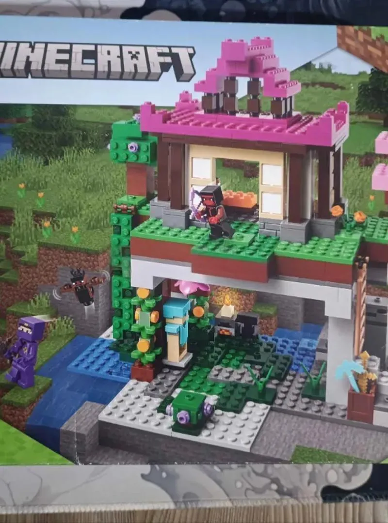 LEGO Minecraft The training grounds 21183