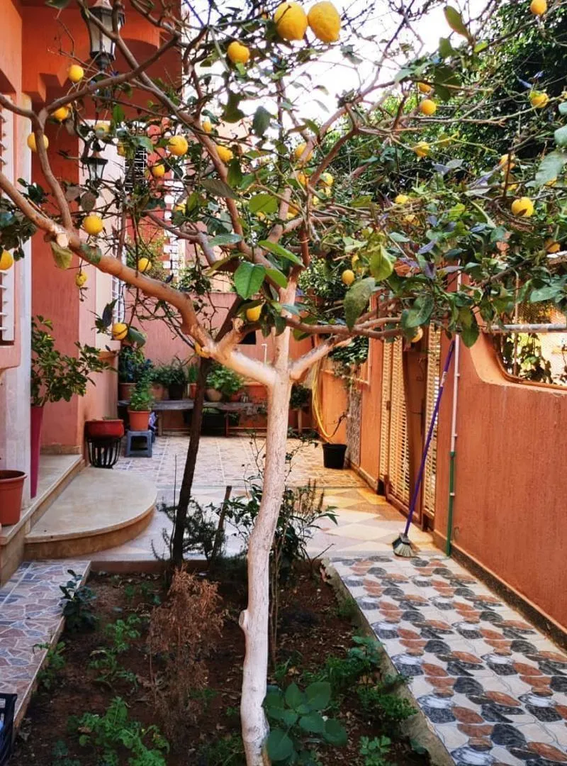 Appartement à vendre 200 m² à Berkane