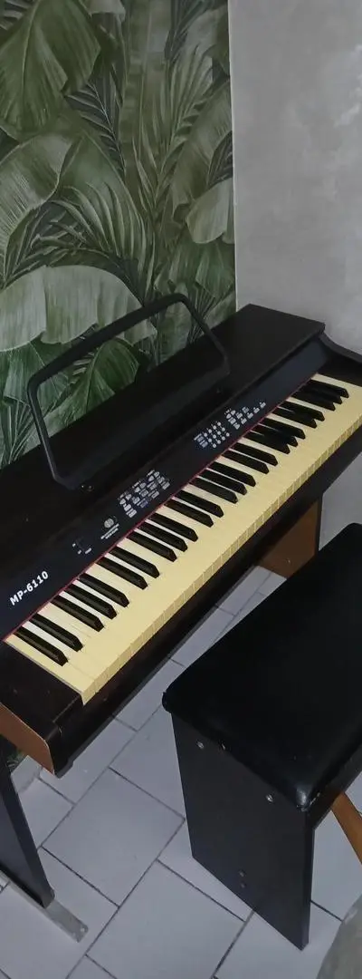 piano Reingwzy