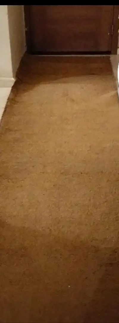 Tapis de couloir 3 mètres sur 90 cm