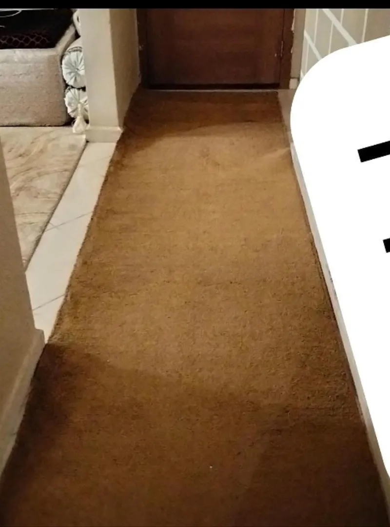 Tapis de couloir 3 mètres sur 90 cm