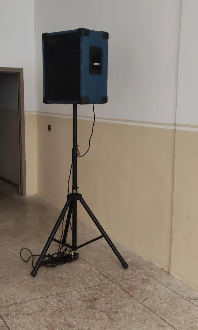 Baffle L12 RCF Italie avec câble xlr et support