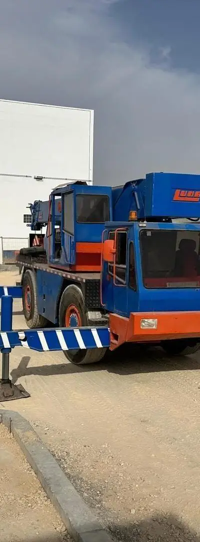 Grue mobile 30t