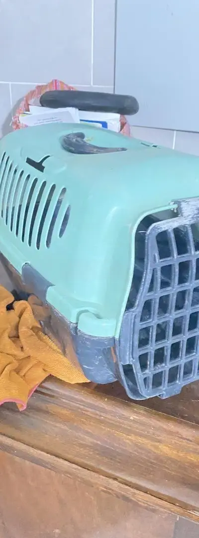 Cage de transport pour animaux de compagnie.