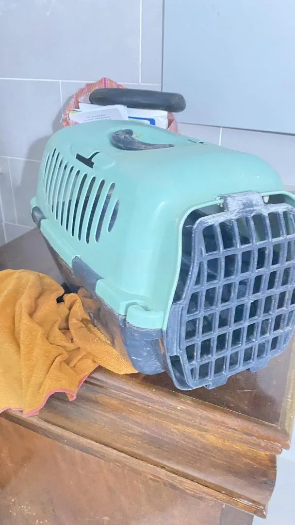 Cage de transport pour animaux de compagnie.