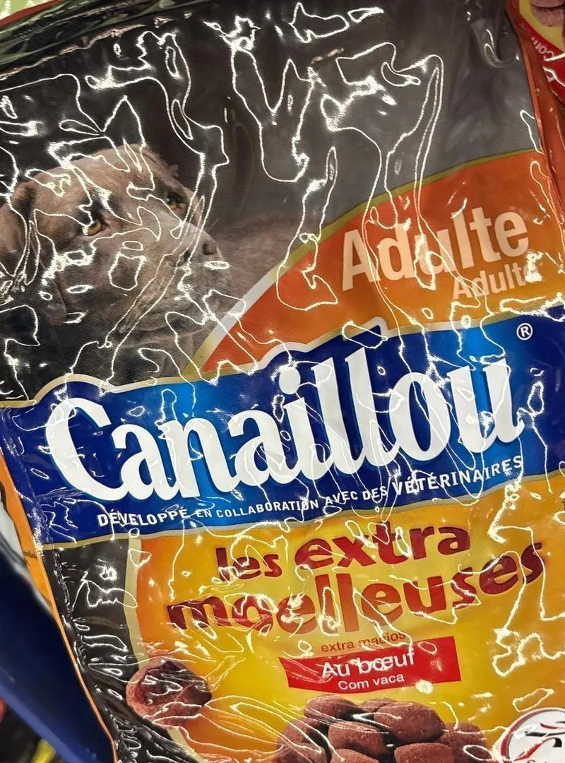 Croquettes promotion nourriture pour chiens réduction