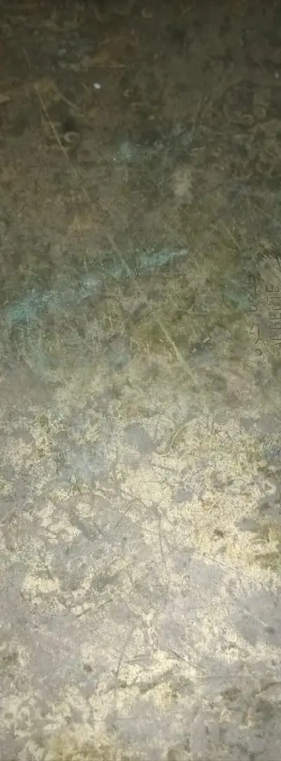 Plat en argent fin et authentique - Pièce de collection marocaine de Fès