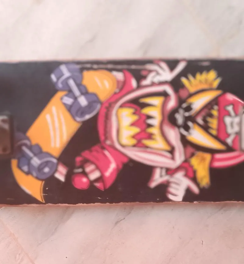 Skate en bon état